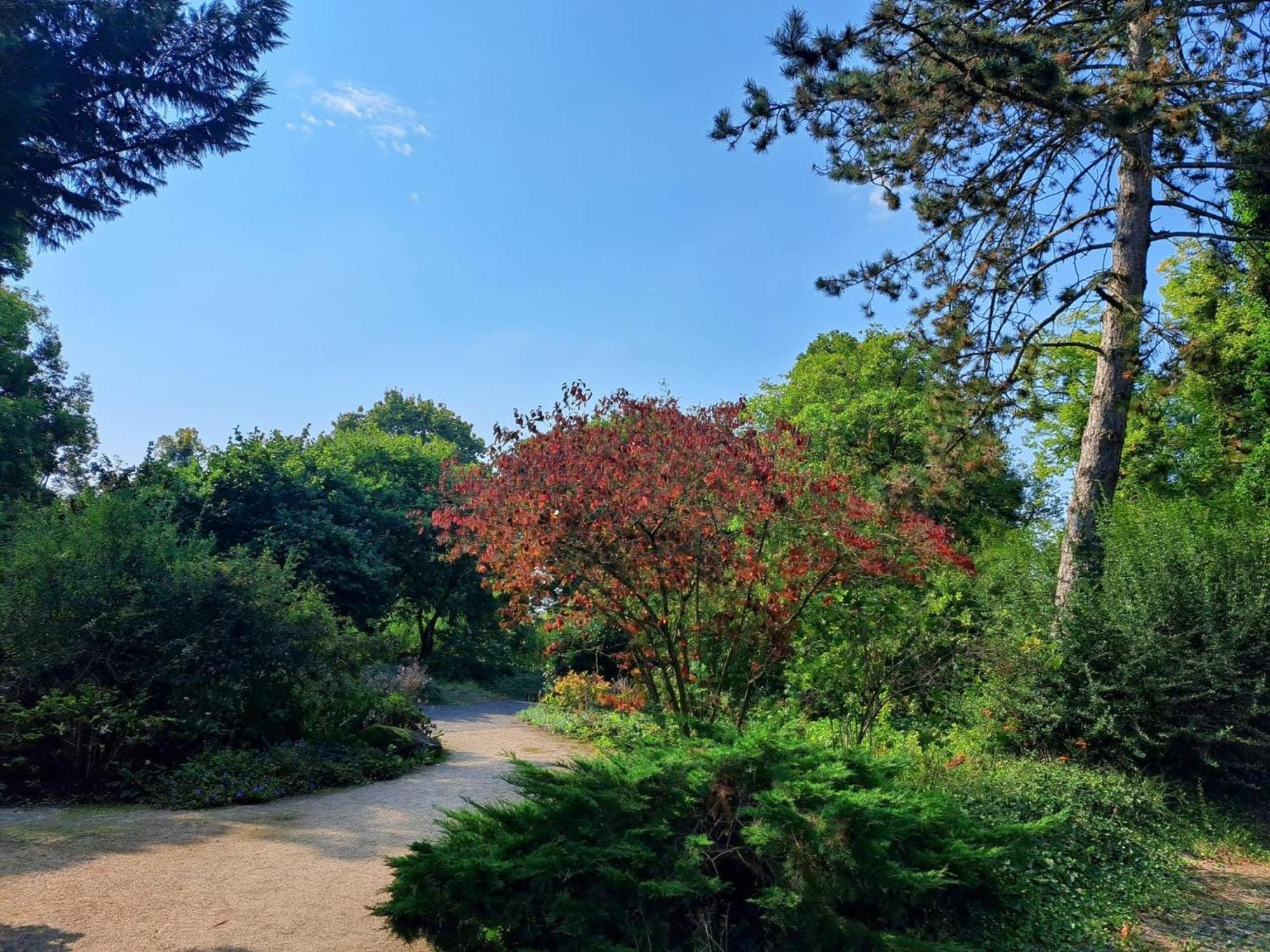 Ruhiges Am Kurpark In Bester Wohnlage Apartment